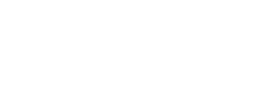 沖縄県産